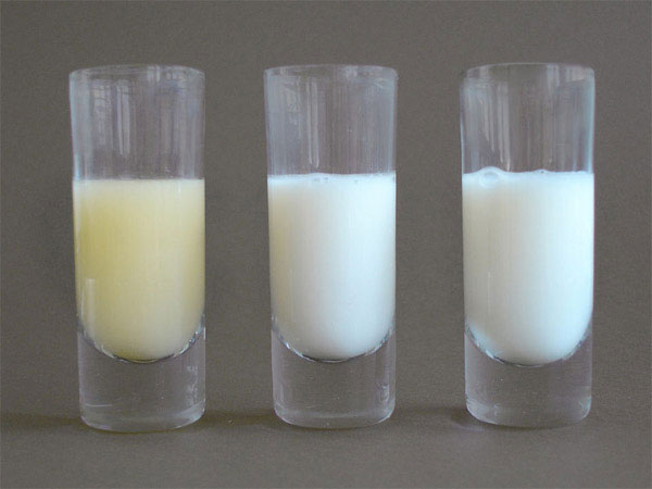 Sữa non là gì ? Tác dụng tuyệt vời của sữa non cho trẻ sơ sinh